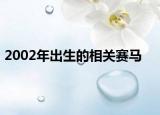 2002年出生的相关赛马