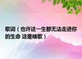 歌词（也许这一生都无法走进你的生命 这是啥歌）