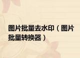 图片批量去水印（图片批量转换器）