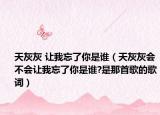 天灰灰 让我忘了你是谁（天灰灰会不会让我忘了你是谁?是那首歌的歌词）