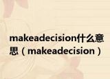 makeadecision什么意思（makeadecision）