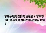 苹果手机怎么打电话录音（苹果怎么打电话录音 如何打电话录音介绍）