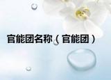 官能团名称（官能团）