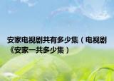 安家电视剧共有多少集（电视剧《安家一共多少集）