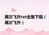 再次飞升txt全集下载（再次飞升）