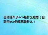 自动挡车子eco是什么意思（自动挡eco的意思是什么）