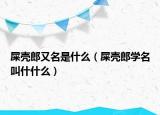 屎壳郎又名是什么（屎壳郎学名叫什什么）