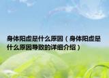 身体阳虚是什么原因（身体阳虚是什么原因导致的详细介绍）