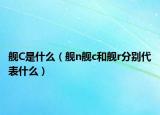 舰C是什么（舰n舰c和舰r分别代表什么）