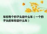 车标有个豹子头是什么车（一个豹子头的车标是什么车）