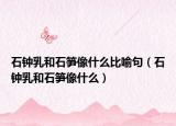 石钟乳和石笋像什么比喻句（石钟乳和石笋像什么）