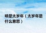 啥是太岁年（太岁年是什么意思）