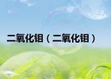 二氧化钼（二氧化钼）