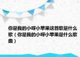 你是我的小呀小苹果这首歌是什么歌（你是我的小呀小苹果是什么歌曲）