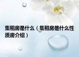 集租房是什么（集租房是什么性质房介绍）