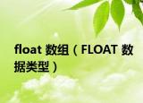 float 数组（FLOAT 数据类型）
