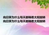 向日葵为什么每天都随着太阳旋转向日葵为什么每天都随着太阳旋转