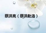 蔡洪亮（蔡洪赴洛）