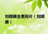 刘靖康全景照片（刘靖康）