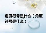 角度符号是什么（角度符号是什么）