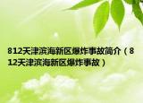 812天津滨海新区爆炸事故简介（812天津滨海新区爆炸事故）