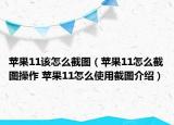 苹果11该怎么截图（苹果11怎么截图操作 苹果11怎么使用截图介绍）