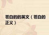 苍白的的英文（苍白的正义）