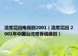流星花园电视剧2001（流星花园 2001年中国台湾青春偶像剧）
