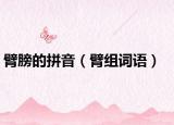 臂膀的拼音（臂组词语）