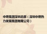 中燃集团深圳总部（深圳中燃热力发展集团有限公司）