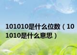 101010是什么位数（101010是什么意思）