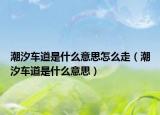 潮汐车道是什么意思怎么走（潮汐车道是什么意思）
