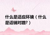 什么是适应环境（什么是适销对路?）