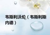 韦斯利沃伦（韦斯利斯内德）