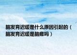 脑发育迟缓是什么原因引起的（脑发育迟缓是脑瘫吗）