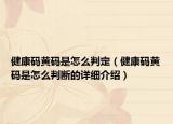 健康码黄码是怎么判定（健康码黄码是怎么判断的详细介绍）