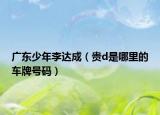 广东少年李达成（贵d是哪里的车牌号码）