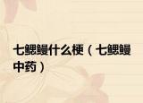 七鳃鳗什么梗（七鳃鳗 中药）