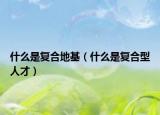 什么是复合地基（什么是复合型人才）