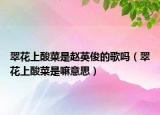 翠花上酸菜是赵英俊的歌吗（翠花上酸菜是嘛意思）