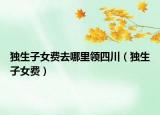 独生子女费去哪里领四川（独生子女费）