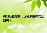 阀门远程控制（远程液控碟式止回阀）