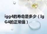 igg4的寿命是多少（IgG4的正常值）