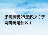 子网掩码29是多少（子网掩码是什么）