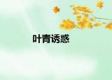 叶青诱惑