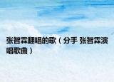 张智霖翻唱的歌（分手 张智霖演唱歌曲）