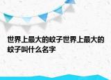 世界上最大的蚊子世界上最大的蚊子叫什么名字