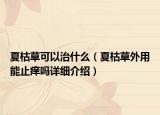 夏枯草可以治什么（夏枯草外用能止痒吗详细介绍）