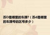 苏D是哪里的车牌?（苏d是哪里的车牌号码区号多少）