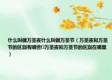 什么叫做万圣夜什么叫做万圣节（万圣夜和万圣节的区别有哪些	万圣夜和万圣节的区别在哪里）